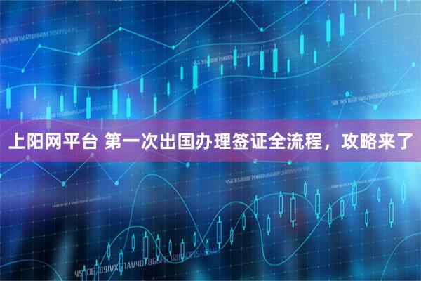 上阳网平台 第一次出国办理签证全流程，攻略来了