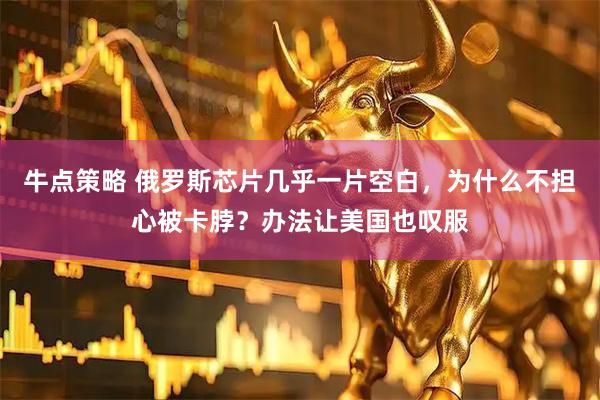 牛点策略 俄罗斯芯片几乎一片空白，为什么不担心被卡脖？办法让美国也叹服