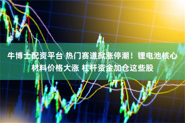 牛博士配资平台 热门赛道掀涨停潮！锂电池核心材料价格大涨 杠杆资金加仓这些股