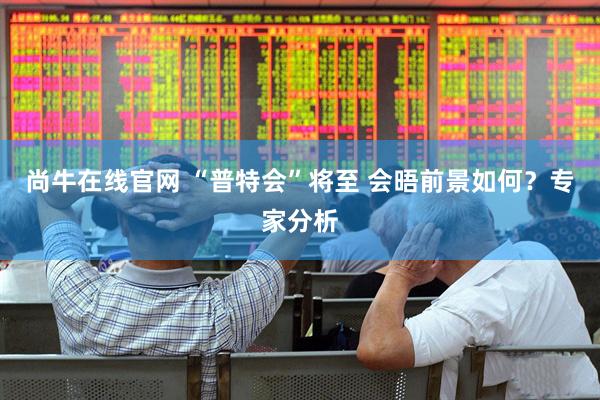 尚牛在线官网 “普特会”将至 会晤前景如何？专家分析